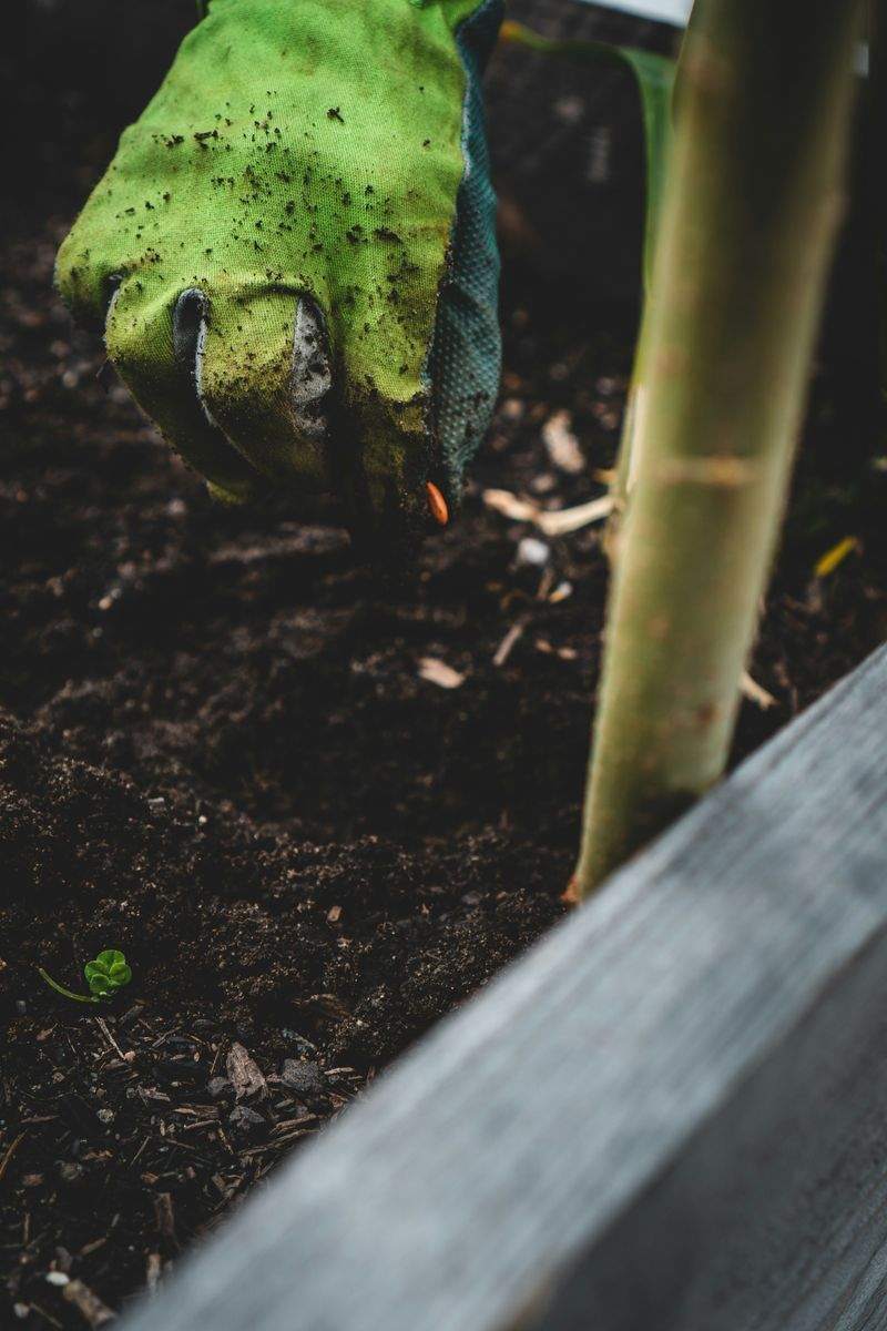 Diseño y planificación de jardines